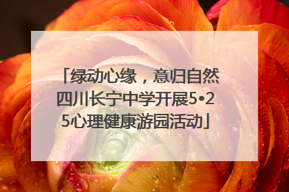 绿动心缘，意归自然 四川长宁中学开展5•25心理健康游园活动