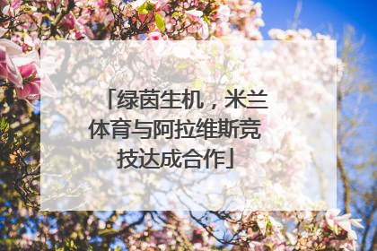 绿茵生机，米兰体育与阿拉维斯竞技达成合作
