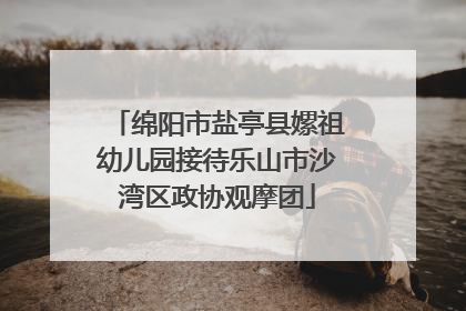 绵阳市盐亭县嫘祖幼儿园接待乐山市沙湾区政协观摩团