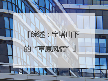 综述：宝塔山下的“草原风情”