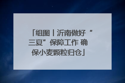 组图丨沂南做好“三夏”保障工作 确保小麦颗粒归仓