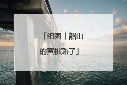 组图丨韶山的黄桃熟了