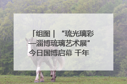 组图｜“琉光璃彩—淄博琉璃艺术展”今日国博启幕 千年窑火绽放京城