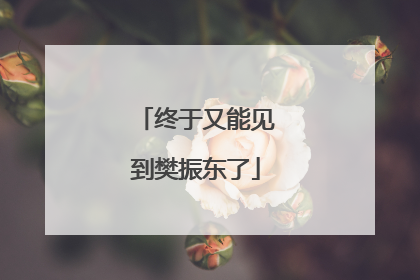终于又能见到樊振东了