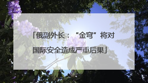 俄副外长：“金穹”将对国际安全造成严重后果