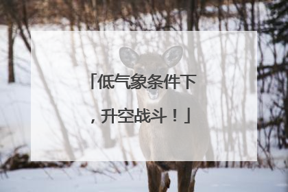 低气象条件下，升空战斗！