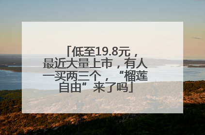 低至19.8元，最近大量上市，有人一买两三个，“榴莲自由”来了吗