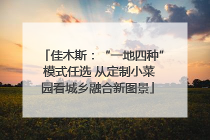 佳木斯：“一地四种” 模式任选 从定制小菜园看城乡融合新图景