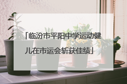 临汾市平阳中学运动健儿在市运会斩获佳绩