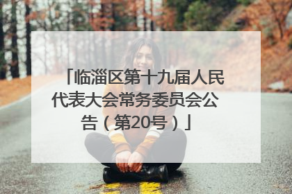 临淄区第十九届人民代表大会常务委员会公告（第20号）