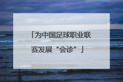 为中国足球职业联赛发展“会诊”