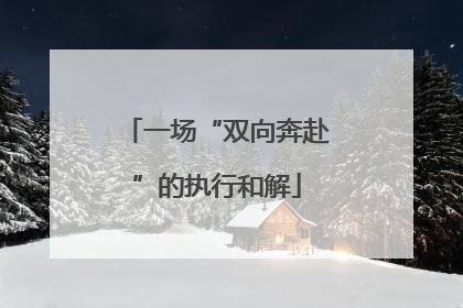 一场“双向奔赴”的执行和解