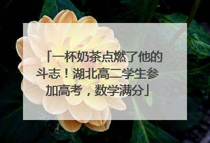 一杯奶茶点燃了他的斗志！湖北高二学生参加高考，数学满分