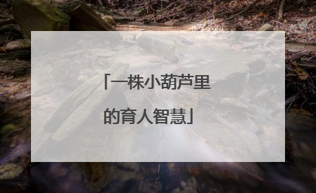 一株小葫芦里的育人智慧