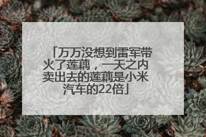 万万没想到雷军带火了莲藕，一天之内卖出去的莲藕是小米汽车的22倍