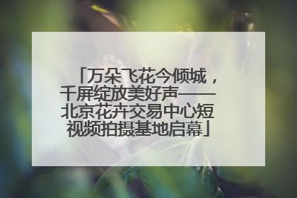 万朵飞花今倾城，千屏绽放美好声——北京花卉交易中心短视频拍摄基地启幕