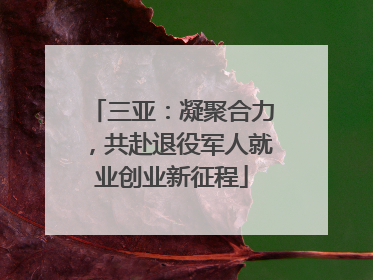 三亚：凝聚合力，共赴退役军人就业创业新征程