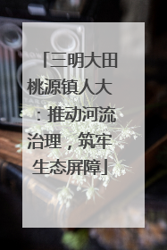 三明大田桃源镇人大：推动河流治理，筑牢生态屏障