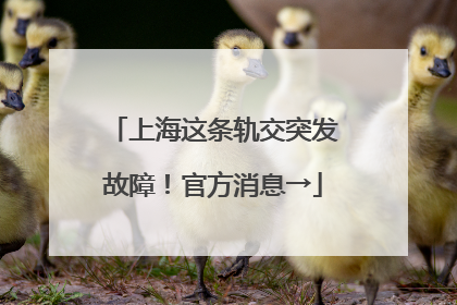 上海这条轨交突发故障！官方消息→