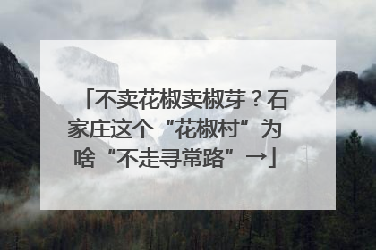 不卖花椒卖椒芽？石家庄这个“花椒村”为啥“不走寻常路”→