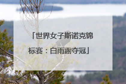 世界女子斯诺克锦标赛：白雨露夺冠