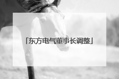 东方电气董事长调整