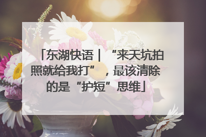 东湖快语｜“来天坑拍照就给我打”，最该清除的是“护短”思维
