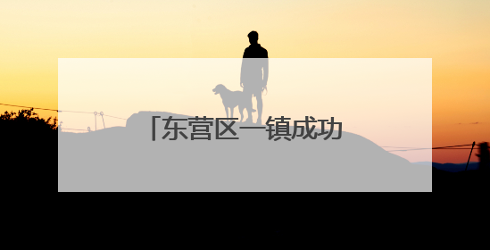 东营区一镇成功跻身全国百强