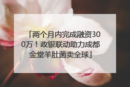 两个月内完成融资300万！政银联动助力成都金堂羊肚菌卖全球