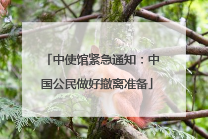 中使馆紧急通知：中国公民做好撤离准备