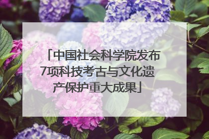 中国社会科学院发布7项科技考古与文化遗产保护重大成果