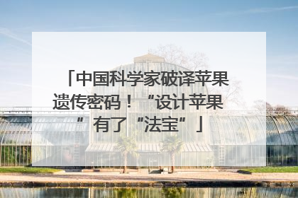 中国科学家破译苹果遗传密码！“设计苹果”有了“法宝”