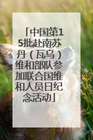中国第15批赴南苏丹（瓦乌）维和部队参加联合国维和人员日纪念活动