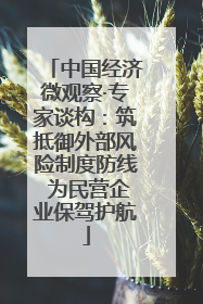 中国经济微观察·专家谈构：筑抵御外部风险制度防线 为民营企业保驾护航