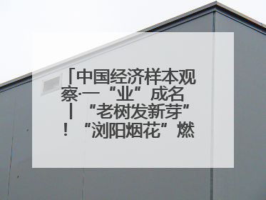 中国经济样本观察·一“业”成名丨“老树发新芽”！“浏阳烟花”燃亮世界