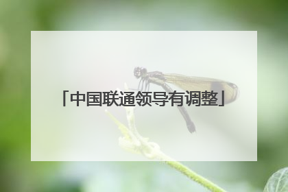 中国联通领导有调整