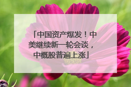 中国资产爆发！中美继续新一轮会谈，中概股普遍上涨
