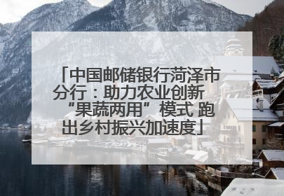 中国邮储银行菏泽市分行：助力农业创新 “果蔬两用”模式 跑出乡村振兴加速度