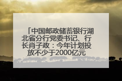 中国邮政储蓄银行湖北省分行党委书记、行长肖子政：今年计划投放不少于2000亿元支持支点建设