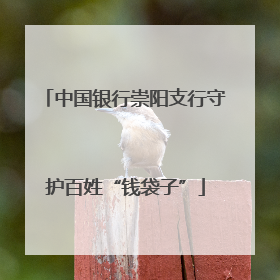 中国银行崇阳支行守护百姓“钱袋子”