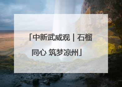 中新武威观｜石榴同心 筑梦凉州