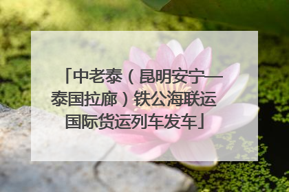 中老泰（昆明安宁—泰国拉廊）铁公海联运国际货运列车发车