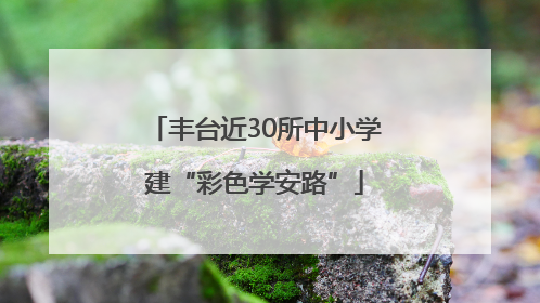 丰台近30所中小学建“彩色学安路”