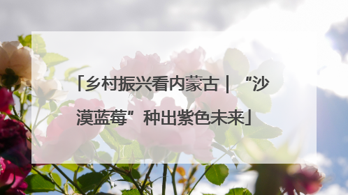 乡村振兴看内蒙古｜“沙漠蓝莓”种出紫色未来