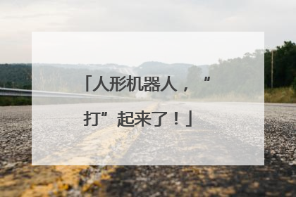 人形机器人，“打”起来了！