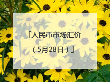 人民币市场汇价（5月28日）