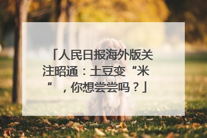 人民日报海外版关注昭通：土豆变“米”，你想尝尝吗？
