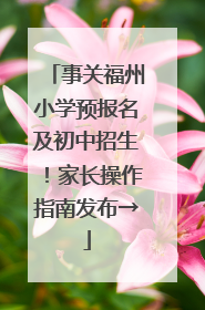 事关福州小学预报名及初中招生！家长操作指南发布→