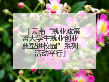 云南“就业政策暨大学生就业创业典型进校园”系列活动举行