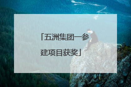 五洲集团一参建项目获奖